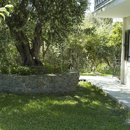 Alonia Spileo